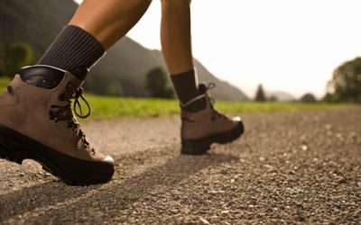 New research suggests nature walks are good for your brain