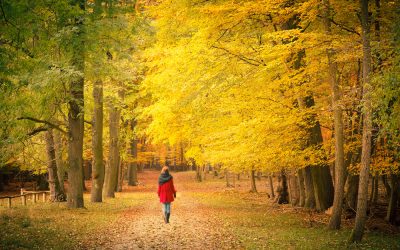 HOW BEING OUTSIDE MAKES YOU HEALTHIER: The Benefits of Ecotherapy