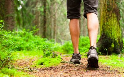 Spending Time Alone in Nature is Good for your Mental and Emotional health